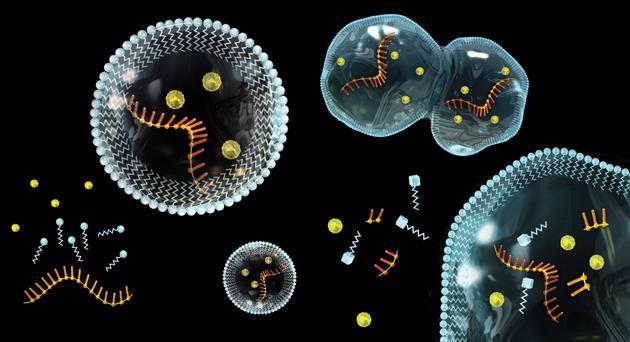 происхождение жизни на земле