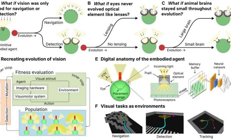 ИИ и цифровая эволюция зрения