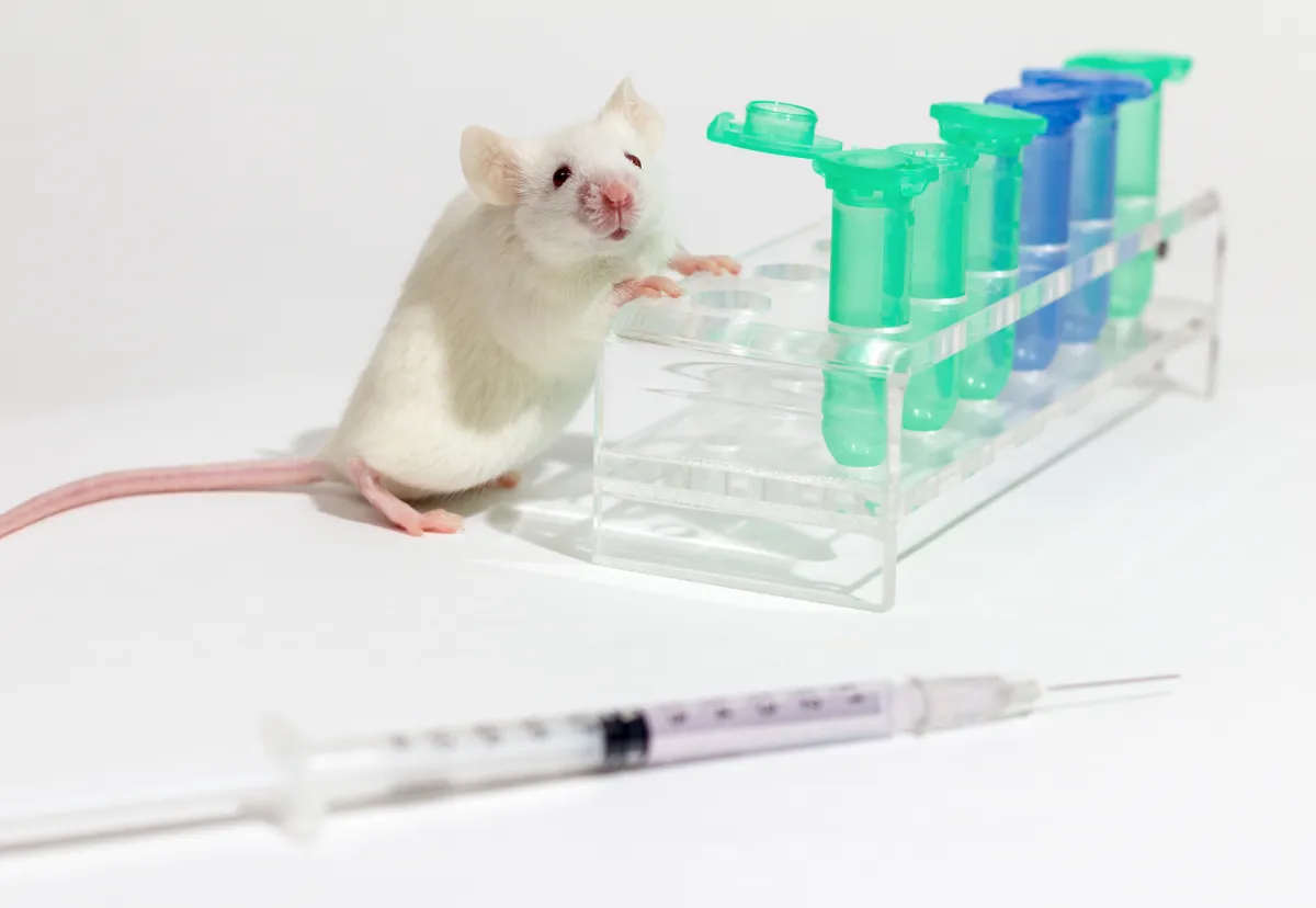 эксперименты над животными