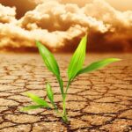 изменение климата - потепление