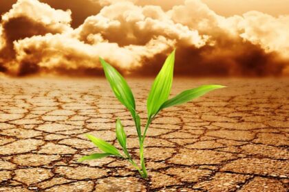 изменение климата - потепление