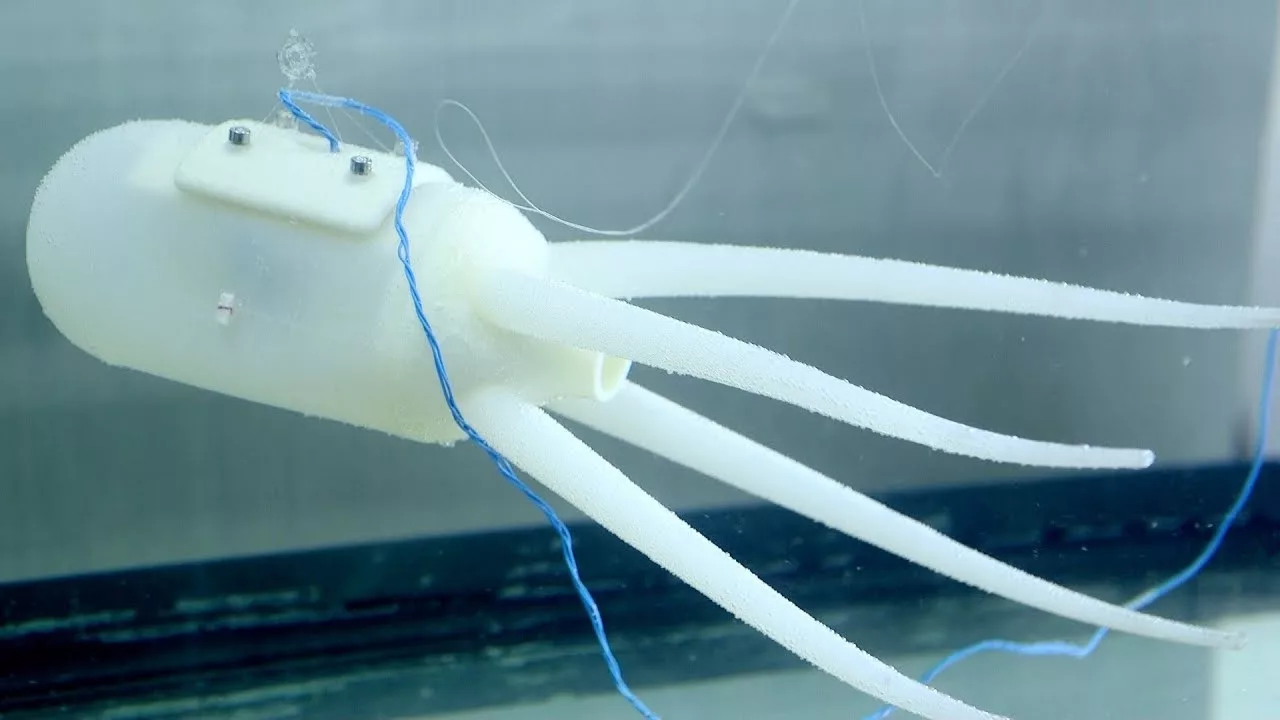 мягкие роботы