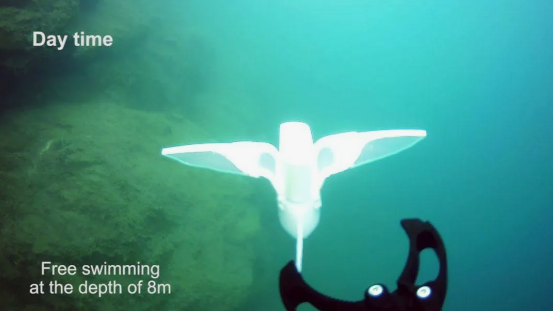 гибкие роботы для морских глубин