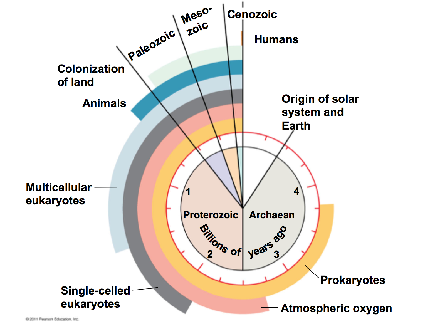происхождение жизни на земле