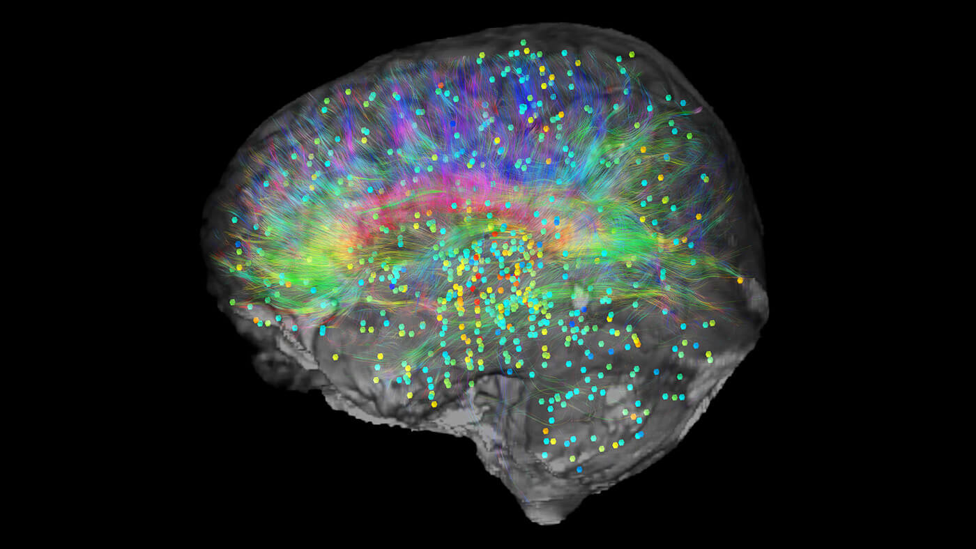 что такое сознание