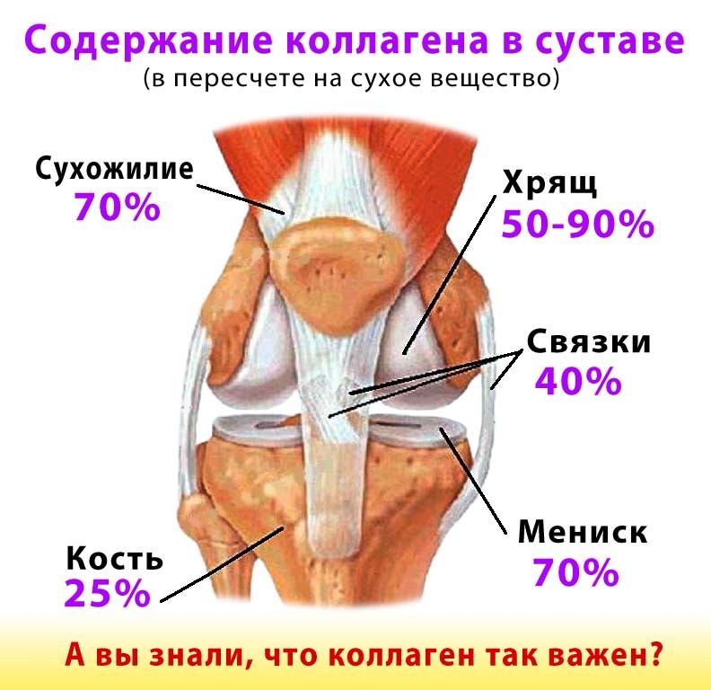 сохранить подвижность суставов