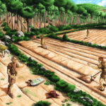 ускорение эволюции человека