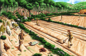 ускорение эволюции человека