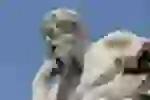 как изучается мир